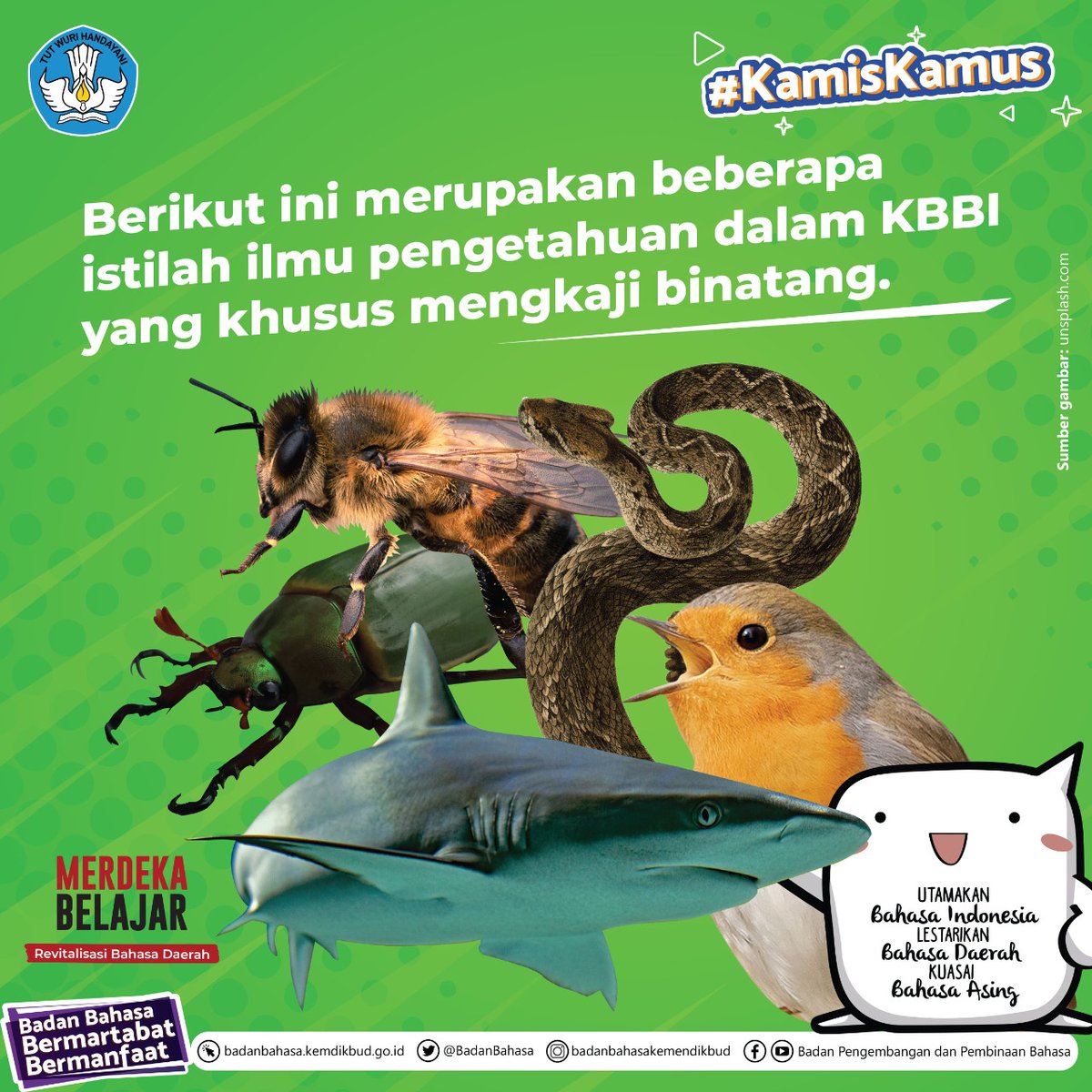 BadanBahasa's tweet photo. Halo,ย #SahabatBahasaย danย #SahabatDikbud!
Berikut ini beberapa istilah ilmu pengetahuan yang khusus mengkaji binatang dalam KBBI.
Semoga bermanfaat ๐
#KamisKamus
#MerdekaBelajar
#KBBIV https://t.co/kAOZzSZcET