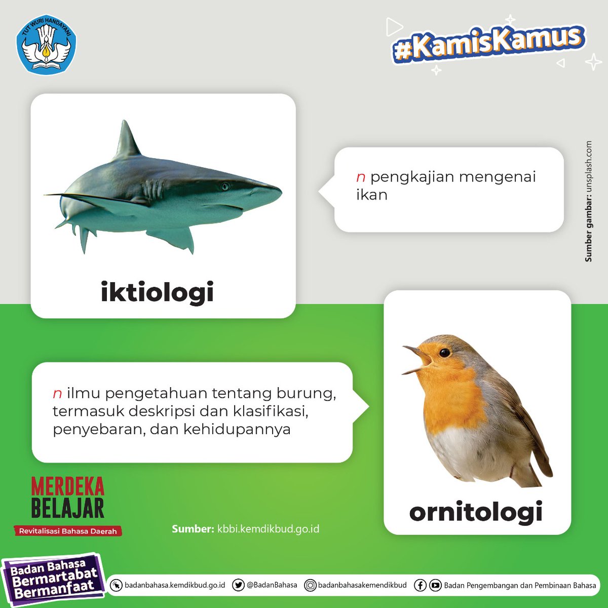 BadanBahasa's tweet photo. Halo,ย #SahabatBahasaย danย #SahabatDikbud!
Berikut ini beberapa istilah ilmu pengetahuan yang khusus mengkaji binatang dalam KBBI.
Semoga bermanfaat ๐
#KamisKamus
#MerdekaBelajar
#KBBIV https://t.co/kAOZzSZcET