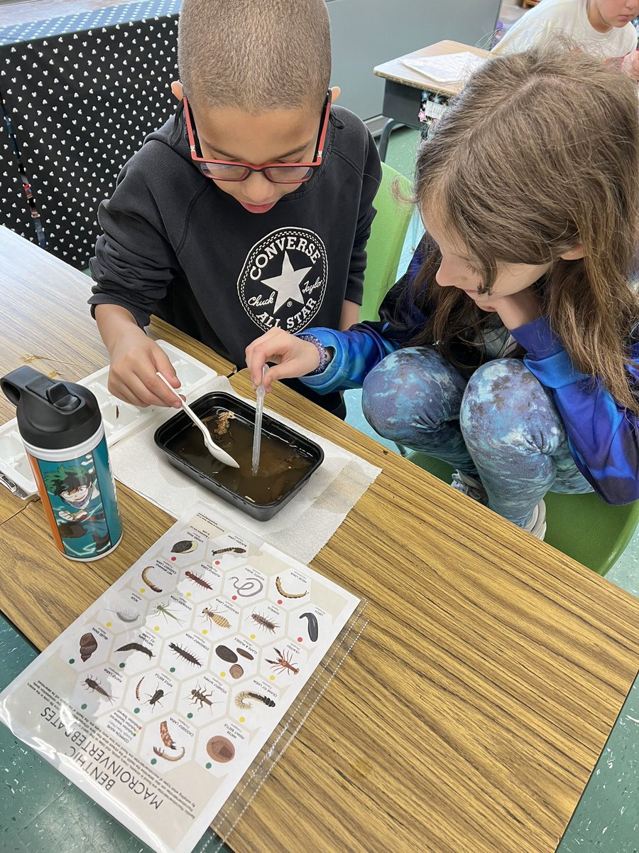 HeatherSchnaars's tweet photo. Fourth grade had a hands on presentation about water monitoring from the NJ Watershred Ambassadors Program this week. @ApshawaSchool https://t.co/NZsGZ31jKi