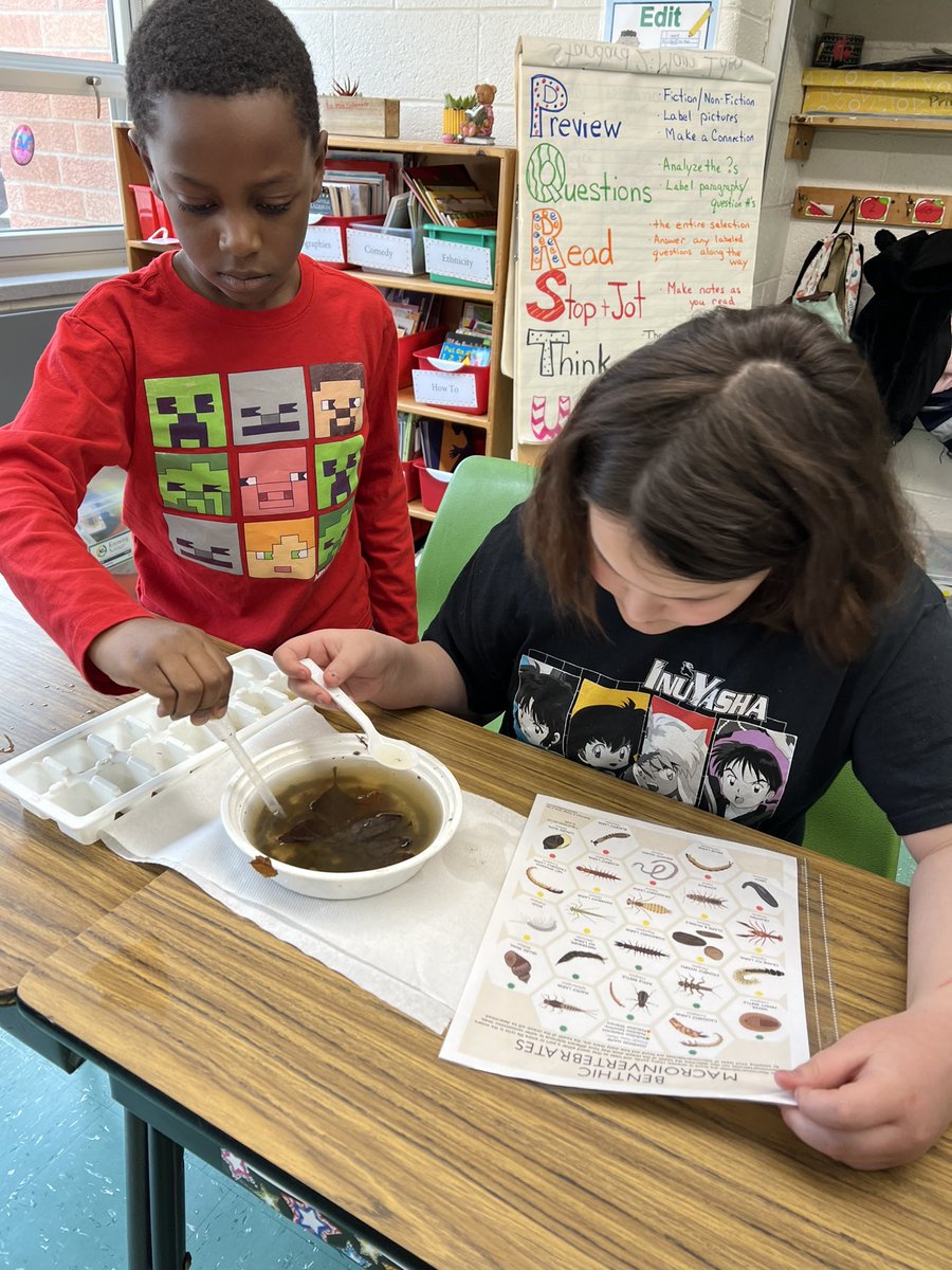 HeatherSchnaars's tweet photo. Fourth grade had a hands on presentation about water monitoring from the NJ Watershred Ambassadors Program this week. @ApshawaSchool https://t.co/NZsGZ31jKi