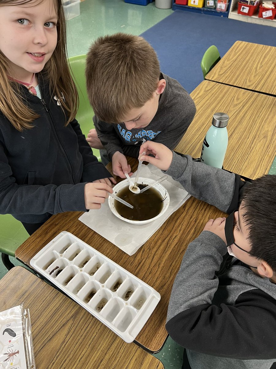 Fourth grade had a hands on presentation about water monitoring from the NJ Watershred Ambassadors Program this week. <a href="/ApshawaSchool/">Apshawa School</a>