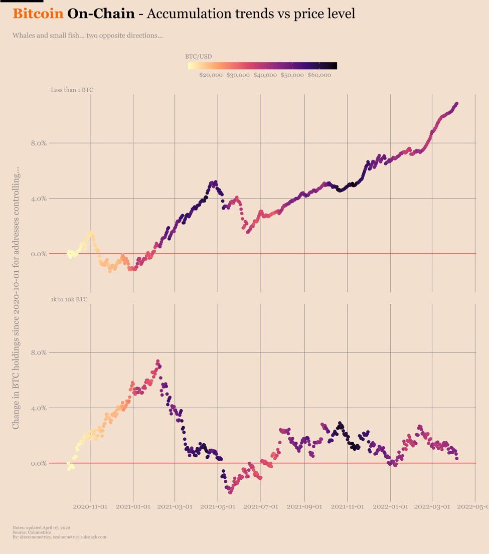 Hold de #Bitcoin por grupos de carteiras 1) Gráfico de cima é das sardinhas  (menos de 1 BTC) 2) Gráfico de baixo é dos baleias (mais de 1000 BTCs)  Bitcoin alta infinita