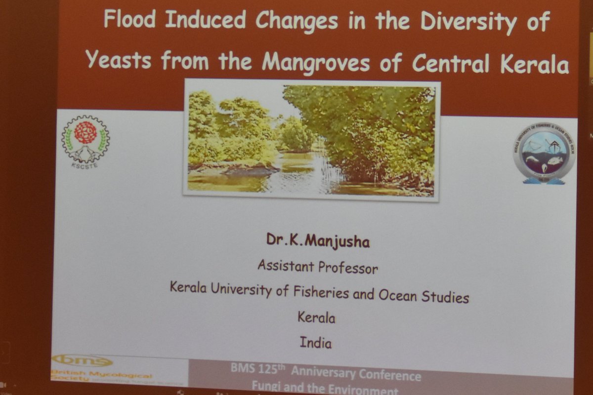 CranMycology's tweet photo. Dr. K Manjusha from Kerala University introducing how flood changes the #diversity of #yeasts in #mangrove. @BMS_Scientific #BMS2022 #BMS125 https://t.co/m1uTB6qKDD