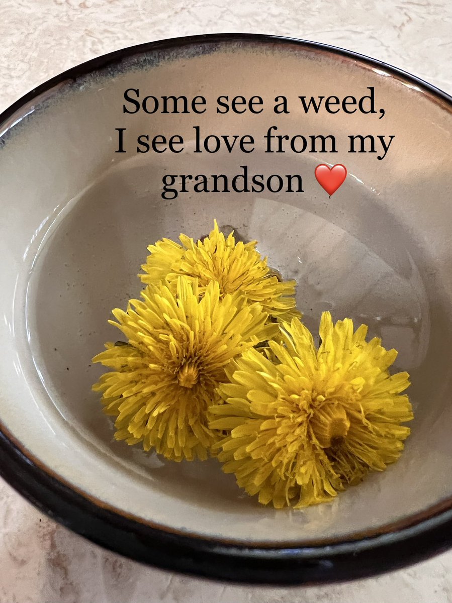 When my grandson, Christian, brings these in and says Nana I picked you some flowers and you can put them in water….I put them in water and smile from the love that went into picking them. 💗❤️💗 #love #whatlovelookslike #Dandelions #grandsons❤️Nana