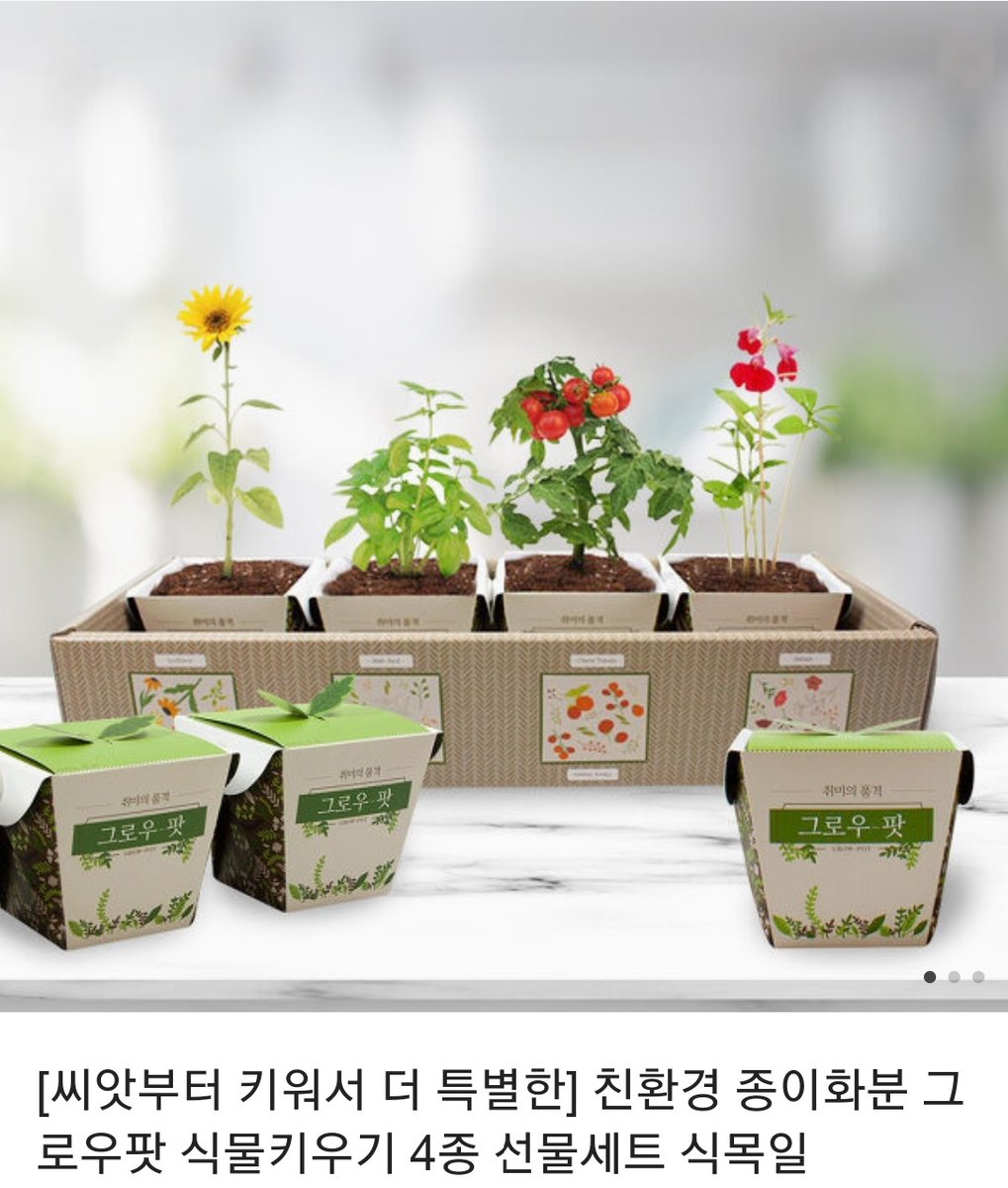 Resting_Light's tweet photo. [Rt이벤트]
모험가! 식물이 휴식에 좋다는데 키워볼 생각 없어? 뭐? 식목일은 지났다고? 키워! 그냥 키워보는거야. 알겠어?

식목일을 기념해서 알리제가 식물을 준비했네요! 늦었지만 받아주실 빛의 전사님이 계실까요? 한 분 추첨해서 보내드려요! https://t.co/dmOaXniKQN