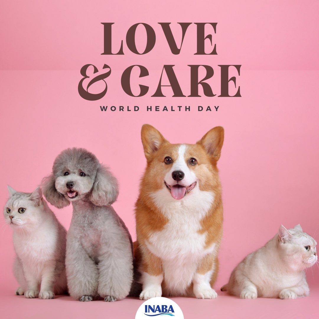 INABA_UK's tweet photo. Happy World Health Day!🐶🐱
 
To all the pawsome pets and pet parents, stay healthy and blessed ✨❤️

#worldhealthday #worldhealthday2022 #pet #petshealth #petlovers #cat #cats #cathealth #dog #dogs #dogshealth #CatsofTwittter #dogsoftwitter #inaba #inabauk #churu #ciaochuru https://t.co/NF2Rhsfhfy