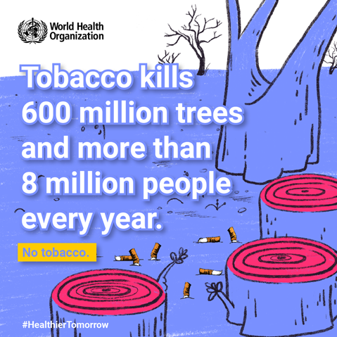 StopTB's tweet photo. Tobacco kills more than 8 million people every year, it is a major risk factor for lung diseases such as tuberculosis (TB). Today, on #WorldHealthDay, say NO to tobacco for a #HealthierTomorrow and #InvestToEndTB.
#endTB https://t.co/jPR2lRAamH