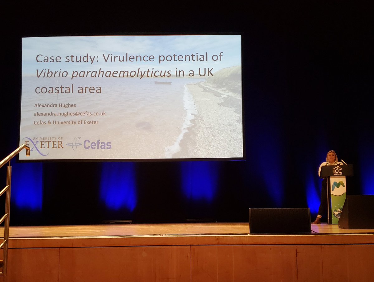 Brilliant talk this morning by <a href="/lex__hughes/">Alexandra Hughes</a> on Vibrio parahaemolyticus in UK waters! 🌊🦠