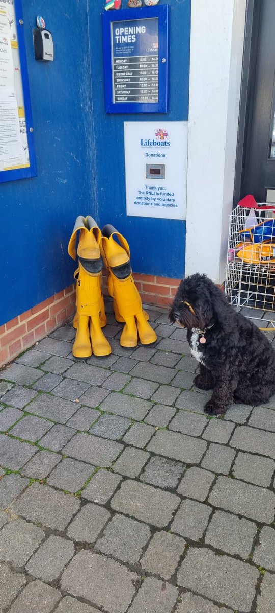 HollyBrookstein's tweet photo. Made couple of new friends @Hastingsrnli @RNLI https://t.co/D5wA0jdX0A