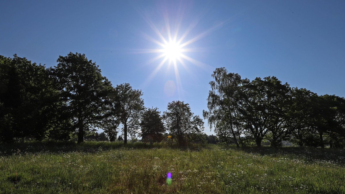 NRW um 12                                     NRW um 14