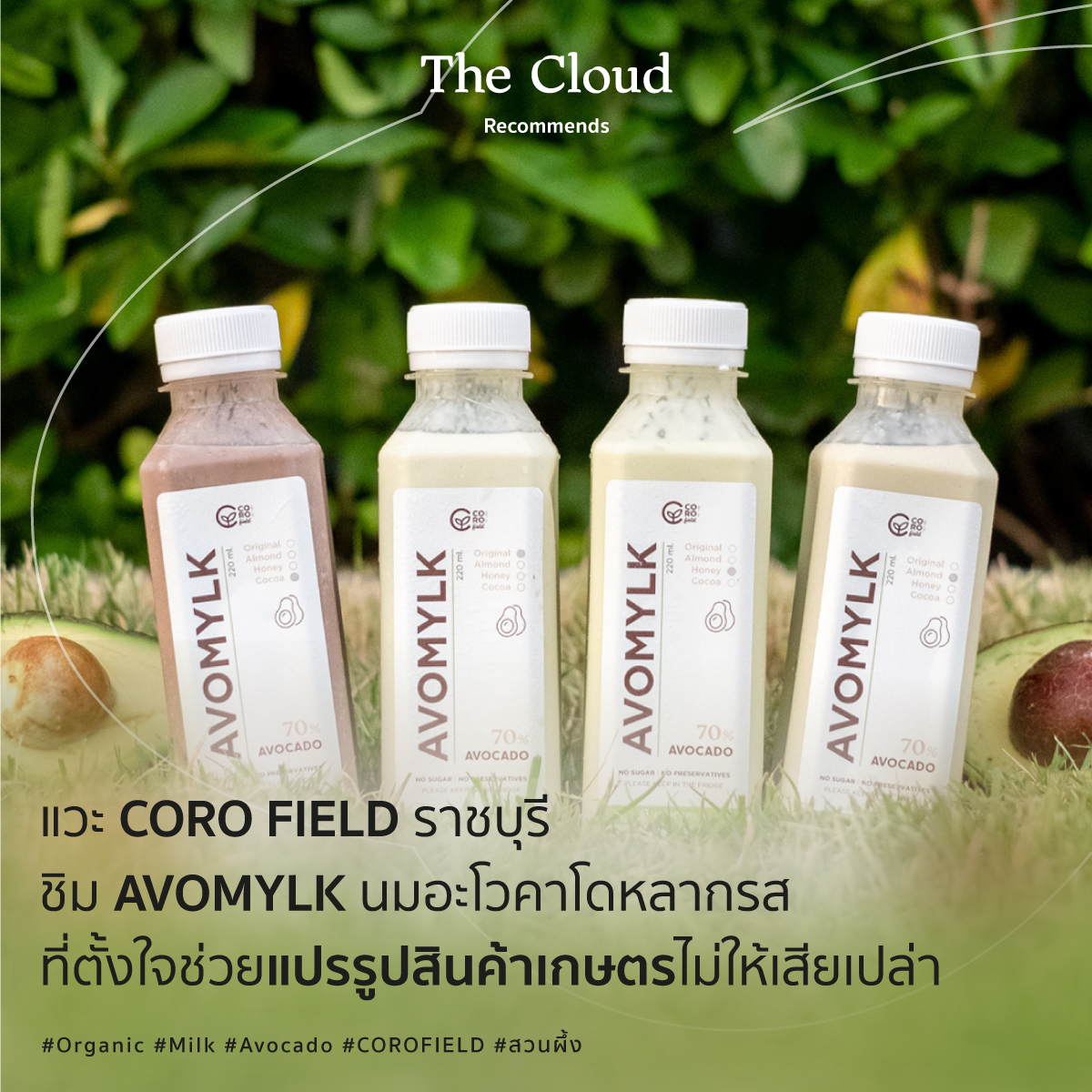 readthecloud's tweet photo. แม้ลมหนาวพัดไปแล้ว แต่ที่สวนผึ้ง จังหวัดราชบุรี ยังอากาศดี ใครแวะมาเที่ยวที่นี่ เราอยากแนะนำให้ไปลองชิมนมอะโวคาโดที่ #COROFIELD สถานที่ท่องเที่ยวเชิงเกษตร ฟาร์มปลูกโทมิ เมล่อนลูกสีทองจากญี่ปุ่น และร้านอาหารแสนอร่อยที่มีเมนูน่ากินจากผักและผลไม้สดในฟาร์ม
#TheCloudRecommends https://t.co/Bu5sxalWGx