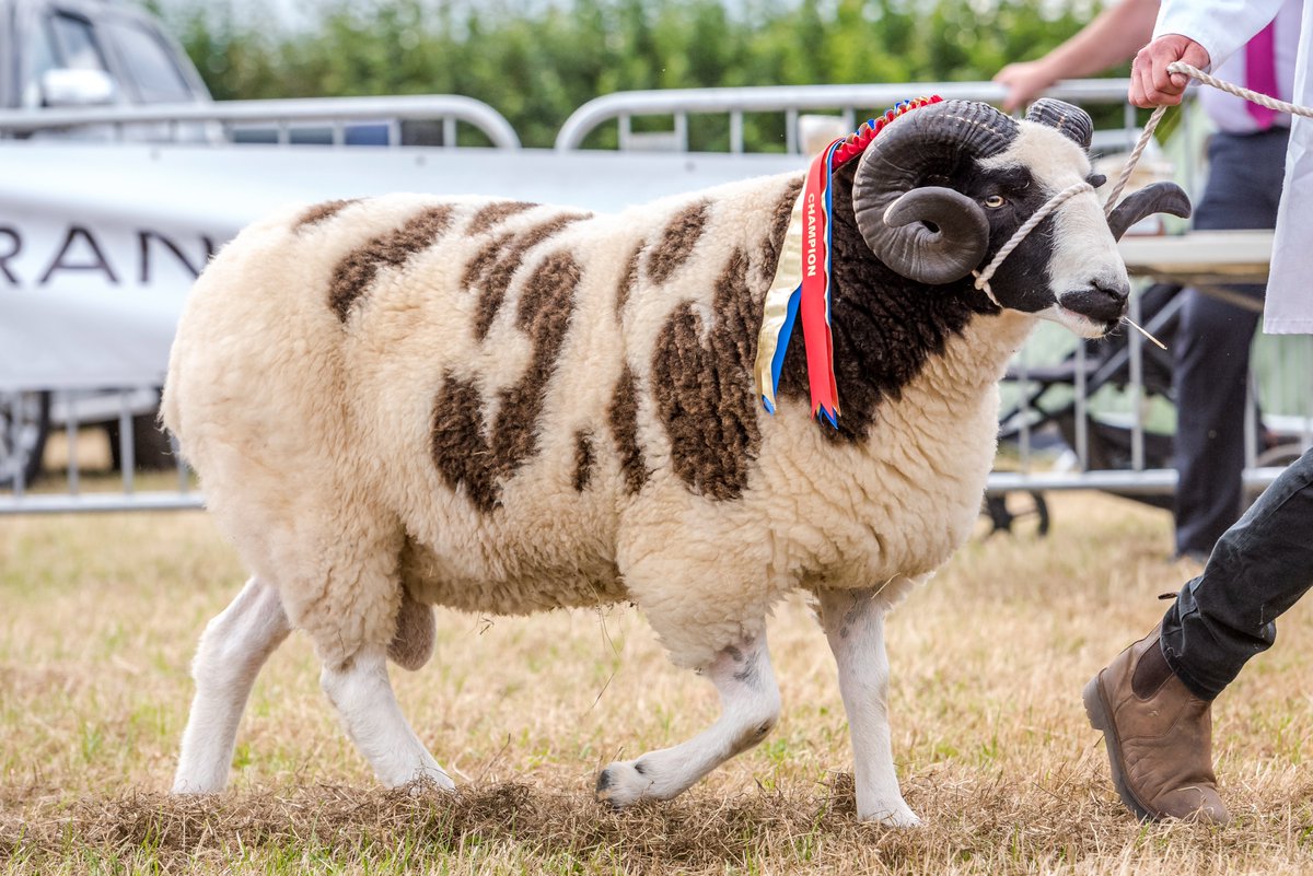 Wonderful news!!! 🥳😃👏💃 Totnes and District Show returning after two-year Covid break 👉 devonlive.com/whats-on/famil… @TotnesShow @visittotnes @VisitDevon @visitsouthdevon #agriculture #agriculturalshow #countryside #countrylife #farming #farmers #farming #food #summertime