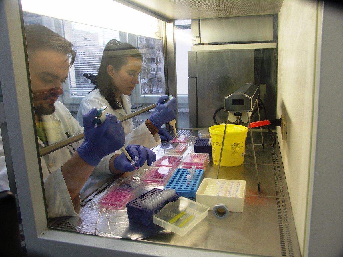 The Croatian Veterinary Institute (PP1) has created, produced and tested autogenous vaccines using bacteria isolated from a partner's farm.

Read the news here: italy-croatia.eu/web/adriaquane…

#adriaquanet

<a href="/ItalyCroatia/">Interreg Italy-Croatia Programme</a>