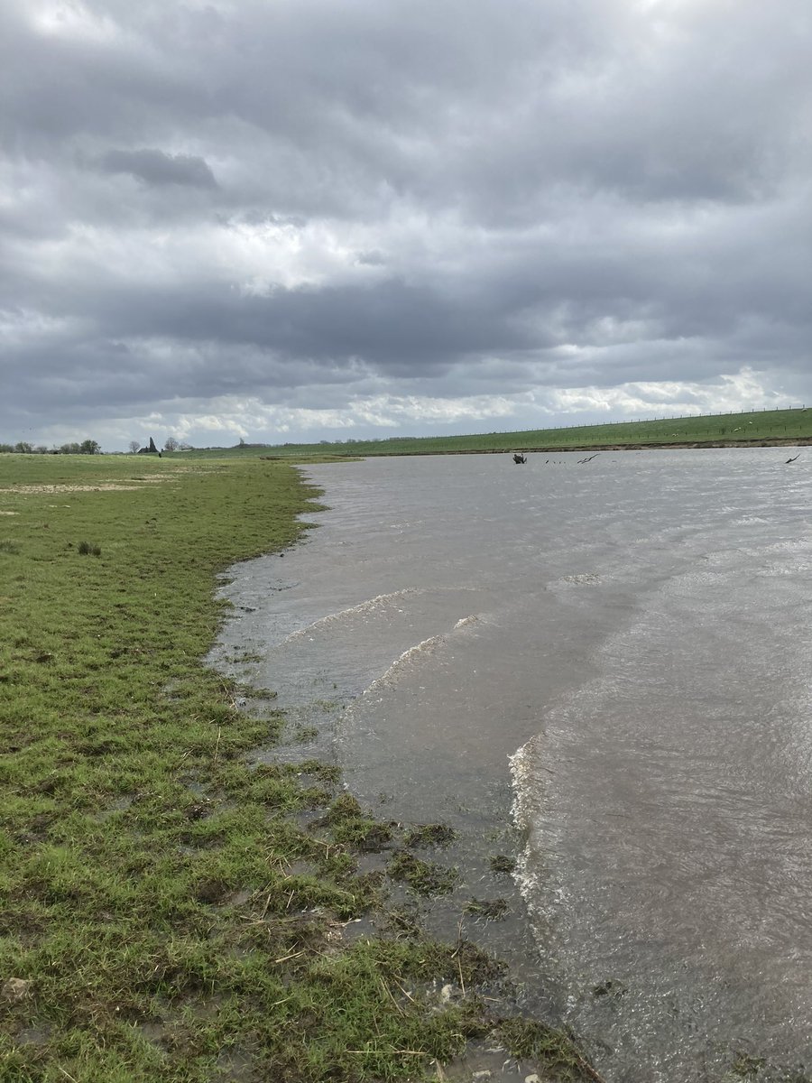 Dat 1 #zwaluw nog geen zomer brengt weten we🥺 Maar ik tel er nu 6 in #keent. Zou het dat toch echt??………☀️☀️@Brab_Landschap <a href="/Naturmacher/">Gijs Looijen</a> <a href="/waarneming/">Waarneming.nl</a> <a href="/RAMvandenHeuvel/">René van den Heuvel</a>