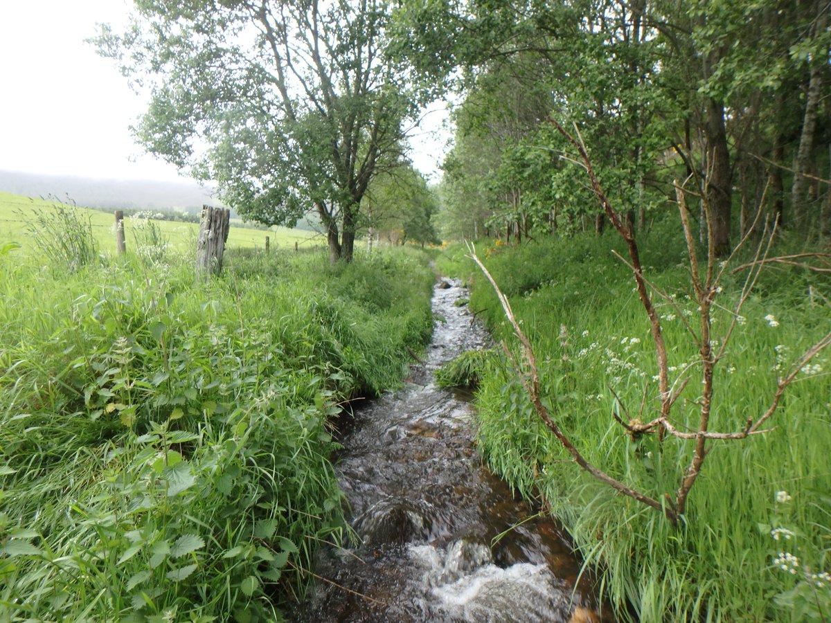 Mark Wilkinson (@hydro_mark) on Twitter photo Can improved design concepts for riparian buffer measures and placement improve uptake and best practice in Scotland? Take a look at our policy note now available via <a href="/CREW_waters/">Scotland's Centre of Expertise for Waters</a> - crew.ac.uk/publication/be… #NatureBasedSolutions <a href="/H2oHutton/">H2O Hutton</a> Can improved design concepts for riparian buffer measures and placement improve uptake and best practice in Scotland? Take a look at our policy note now available via <a href="/CREW_waters/">Scotland's Centre of Expertise for Waters</a> - crew.ac.uk/publication/be… #NatureBasedSolutions <a href="/H2oHutton/">H2O Hutton</a>