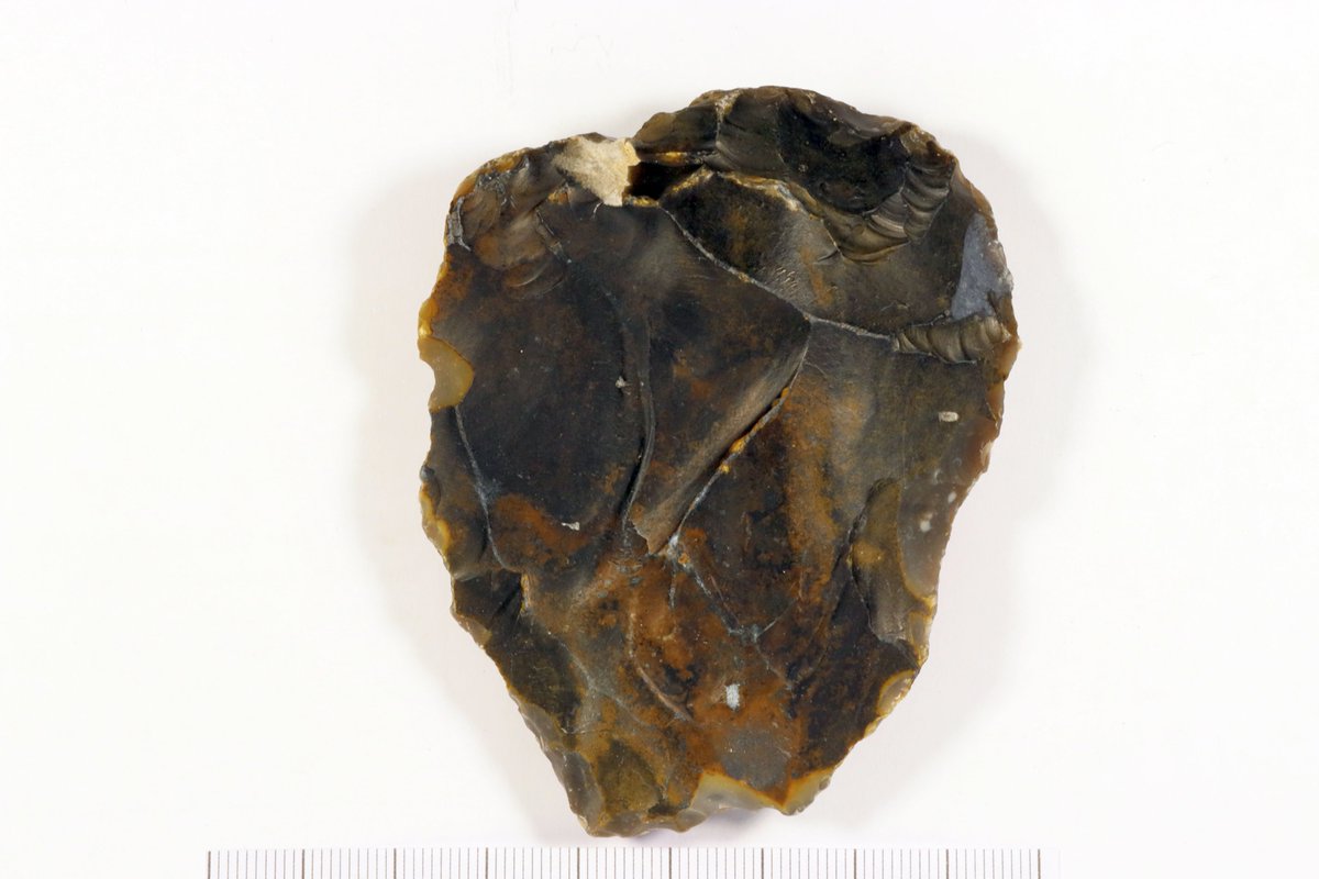 At long last a rather special rock! #Acheulian? #WorthingBeach. Probably from #SolentRiverTerrace brought in from offshore gravel for beach replenishment. Pity it has lost its point.