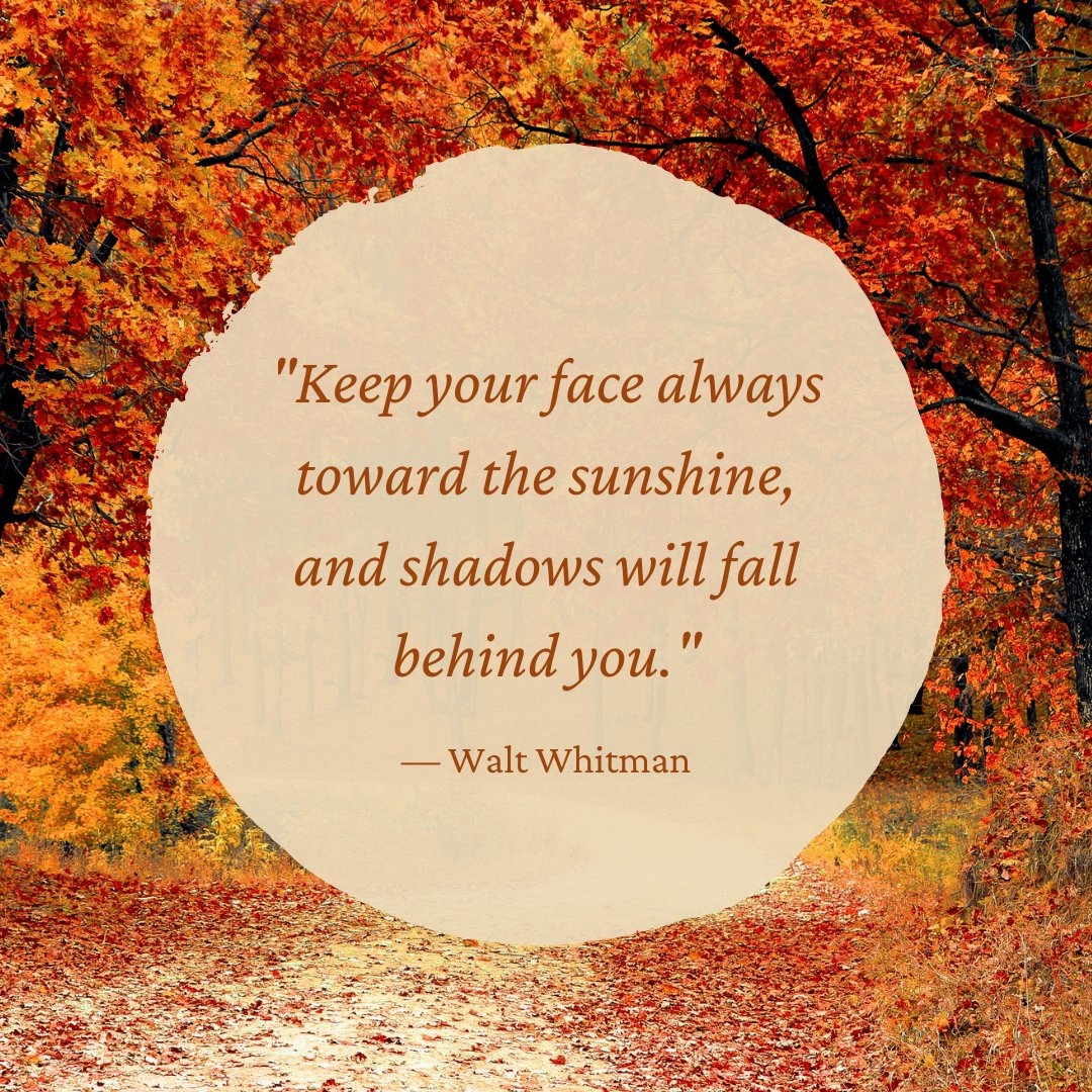 A beautiful #quote from Walt Whitman.

#quotes #authorquotes #reading