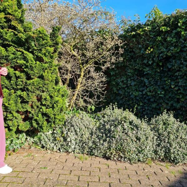 nancybaten1's tweet photo. Oh yeah, here I am again with the bloopers for spring 2022. The most ugly and horrifying photos of myself. And why should I show it then? Well, that is also part of the life of bloggers and influencers, the bloopers. #50plusstyle #50andfabulous
https://t.co/dM27gSpXmE https://t.co/BmSgwN0dtu