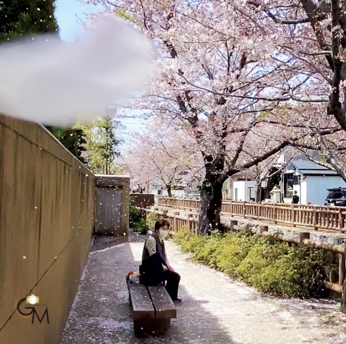 ひとひらの花びら Twitter Search Twitter ひとひらの花びら Twitter Search Twitter