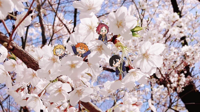 🌸🌸 