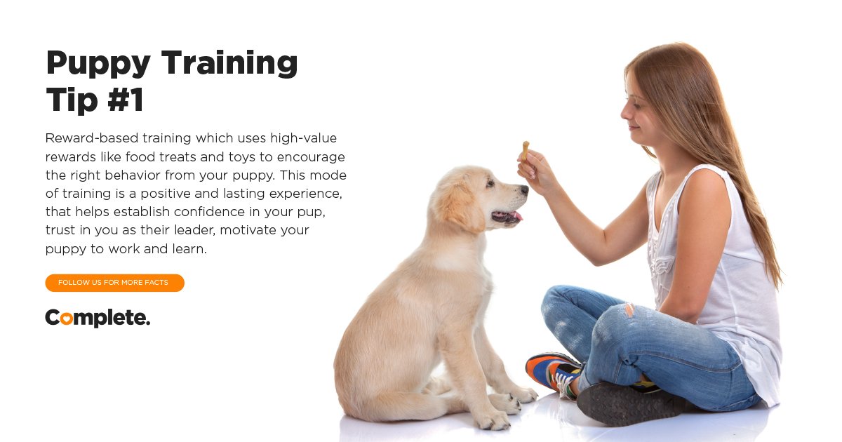 CompletePetfood's tweet photo. Are you up for the challenge of training your puppy? πͺ Hereβs a tip to get you started β¬οΈ
#CompletePet #pets #petsarefamily #DogsofTwittter #petsupplies #doglovers #petlovers https://t.co/Vth0an5rqV