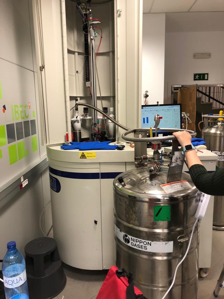 Irene Marco-Rius tweet media