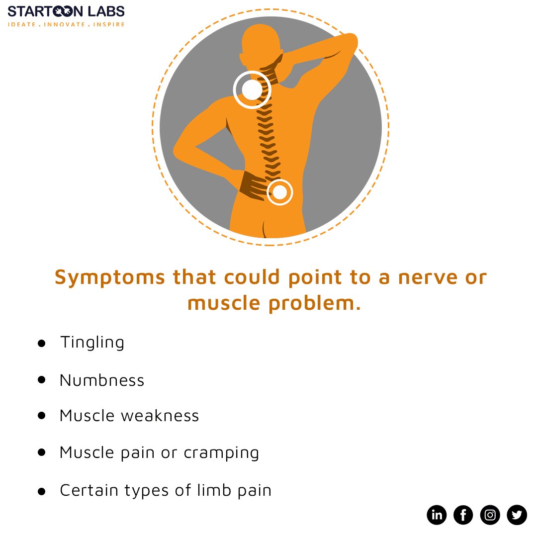 startoonlabs's tweet image. Symptoms that could point to nerve or muscle problems
.
.
.
#nerveproblems #muscleproblem #numbness #cramp #physiotherapy #pheezee