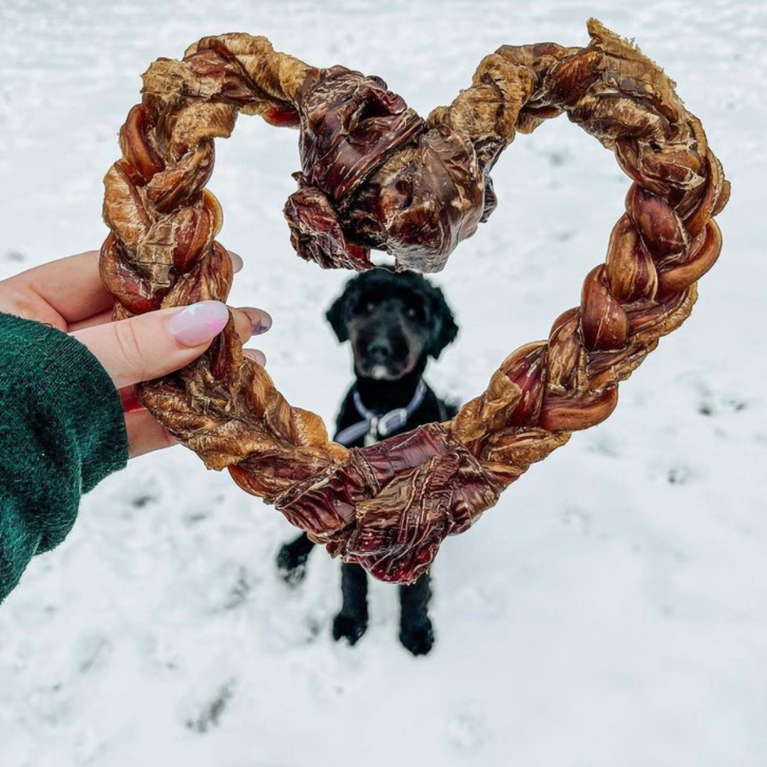 We may be a little biased but we love the heart chew photos a little extra! It's a product that's unique to us, so we love seeing your pups enjoy the heart chews! 

Available in Can

🐶: <a href="/folksofthewood/">Kuma, Jax & Marie-Luc</a> ,  @juniper.the.isabella.gsd , @ritzydoodle

#twitterdogs #dogsoftwitter #dog
