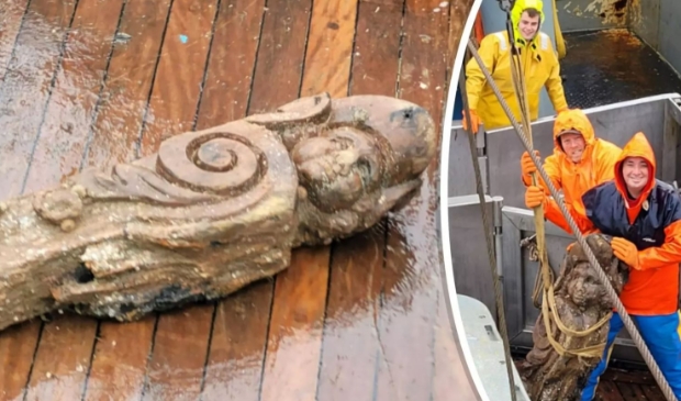 Texelse Courant tweet media