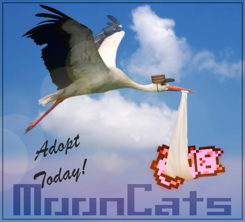 mooncatrescue's tweet photo. Everyone should adopt a MoonCat on their crypto journey

The OG NFT pet: only 25,440 ever https://t.co/aEDla0dtIy
