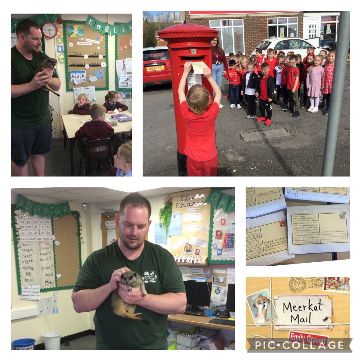 St Brendan's RC Primary School (@stbrendansrcpri) on Twitter photo In Year One we were inspired by the book Meerkat Mail to write some fantastic postcards. We sent them off and they made it to the Kalahari Desert. We asked Sunny the Meerkat if he would like to visit St Brendan’s and he did! Thank you <a href="/dannycritters/">Curious Critters</a> 📮 In Year One we were inspired by the book Meerkat Mail to write some fantastic postcards. We sent them off and they made it to the Kalahari Desert. We asked Sunny the Meerkat if he would like to visit St Brendan’s and he did! Thank you <a href="/dannycritters/">Curious Critters</a> 📮