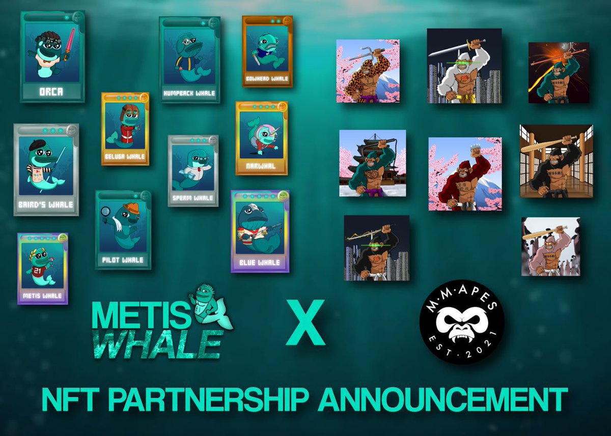 🚨 Partnership Announcement 🚨

Apes meet Whales! 🦍 x 🐳

We're happy to announce we've partnered with <a href="/TheMetisWhale/">The Metis Whale</a> and they've given us 10 NFTs to giveaway 🚀

We'll release more info on how to get one in the coming days!!!

#MMApes #Metis #tethys <a href="/MetisDAO/">Metis</a>