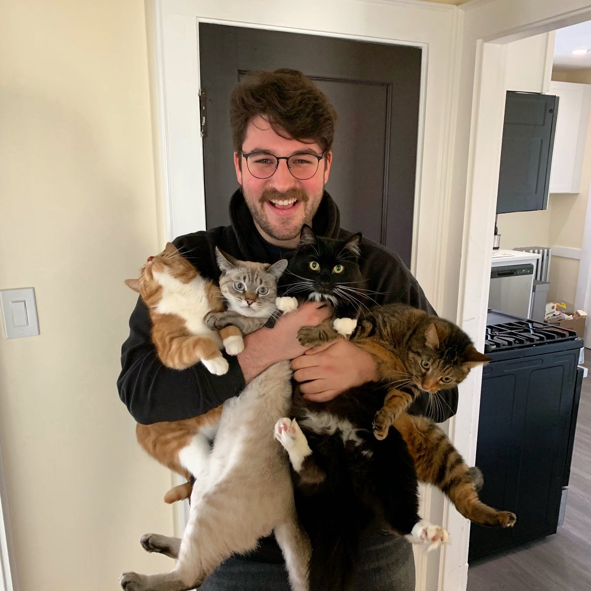 kappyland's tweet photo. I have 4 cats now https://t.co/XerxH39ung