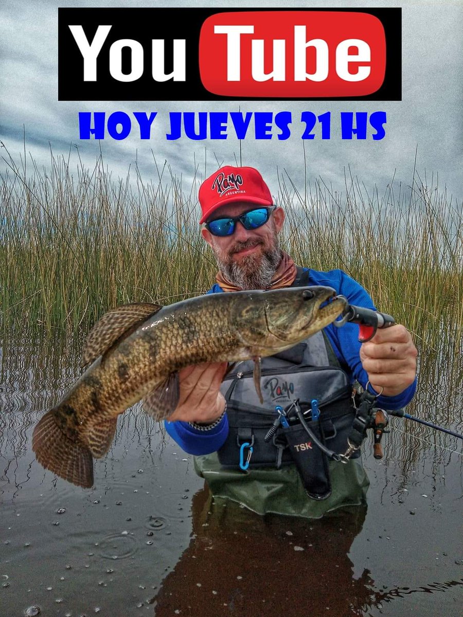 waltergastaldi's tweet photo. Los espero hoy a las 21 hs en mí canal de YouTube les dejo link 👇🏻.     https://t.co/0htyFMSAKF
Una Linda pesca de Tarariras casi cerrando la temporada , al Vadeo en Bragado 
#tarariras #pesca #baitcastimg 
@PayoArgentina https://t.co/3AENtiDgeR