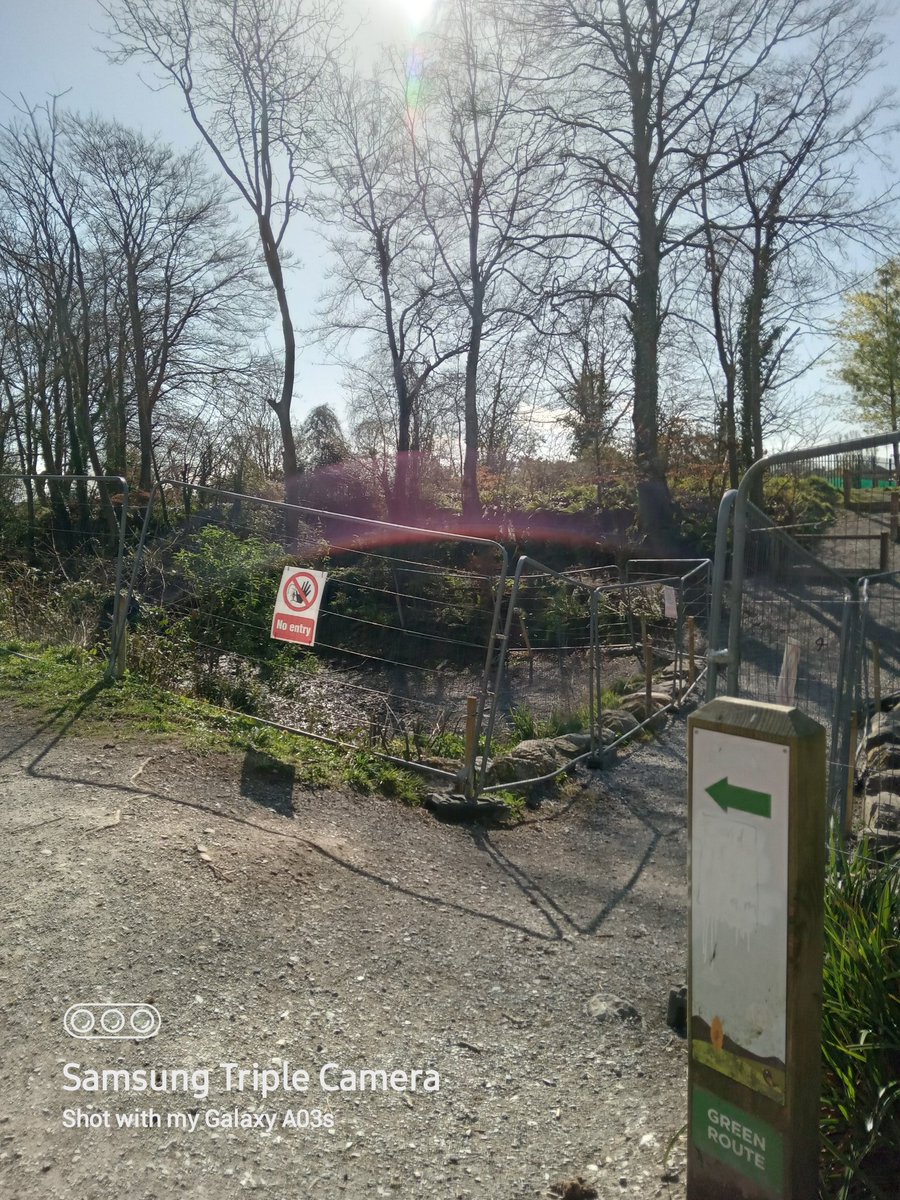 JoannemtMurphy's tweet photo. Just retweeting @EoinBearla article from 2021 on the #fouldrain in the #RegionalPark . Thankfully, @corkcitycouncil are finally taking appropriate action. Ballincollig people want to see the Canals returned to pristine condition. @IWCare #FixTheDrain #FixTheWeir #WaterQuality https://t.co/tp6kYI5AZR