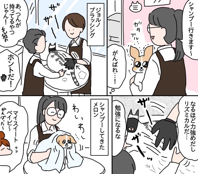 猫、ペットサロンへ行く③
https://t.co/roLErbRhWe 