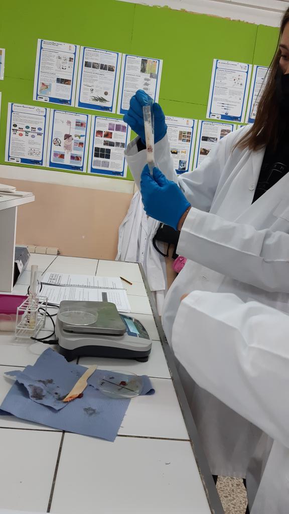 FEMMA_Setmana's tweet photo. Acabant les darrers pràctiques de biologia amb moltes ganes!!! https://t.co/rNtjNND3Ca