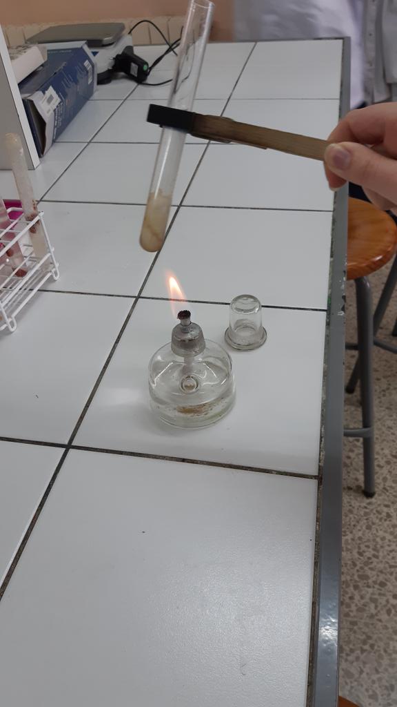 FEMMA_Setmana's tweet photo. Acabant les darrers pràctiques de biologia amb moltes ganes!!! https://t.co/rNtjNND3Ca