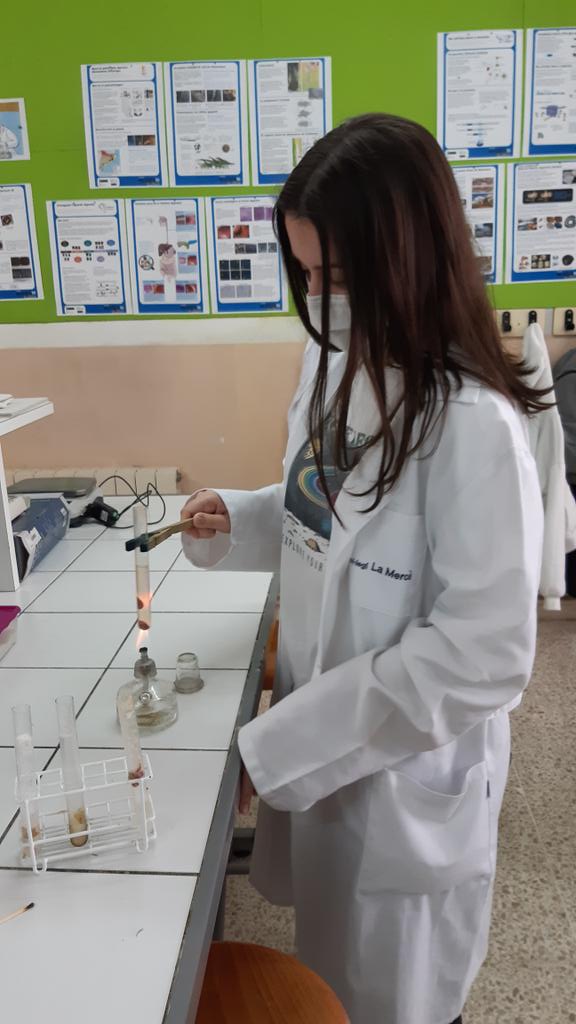 FEMMA_Setmana's tweet photo. Acabant les darrers pràctiques de biologia amb moltes ganes!!! https://t.co/rNtjNND3Ca