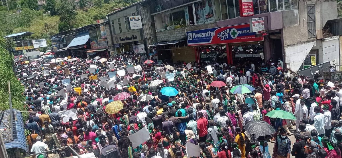 JDSLanka's tweet image. Thousands of #Tamils employed in the plantation sector, today gathered to the hill country town of #Thalawakele, largest tea growing area in central #SriLanka, chanting slogans demanding an end to the rule of president @GotabayaR &amp;amp; his government. #CrisisLK