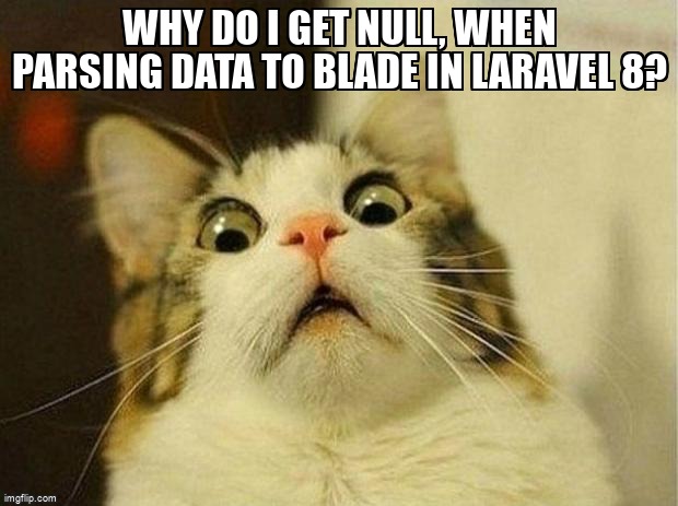 overflow_meme's tweet image. Why do I get null, when parsing data to blade in laravel 8? stackoverflow.com/questions/7177… #modelviewcontroller #php #laravel