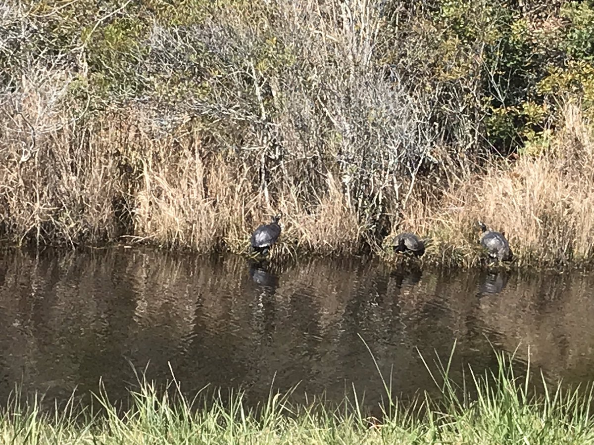 Pedotd's tweet photo. Self care during spring break. https://t.co/ylNMfGB10C