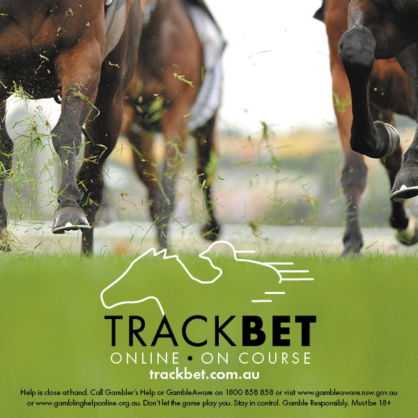 trackbetcomau's tweet photo. Get set for a huge day of racing today!
Sign up and give us a try https://t.co/QuGKHOLqkj
#betting #punting #betlocal #localbookie https://t.co/JPXNDNS58j