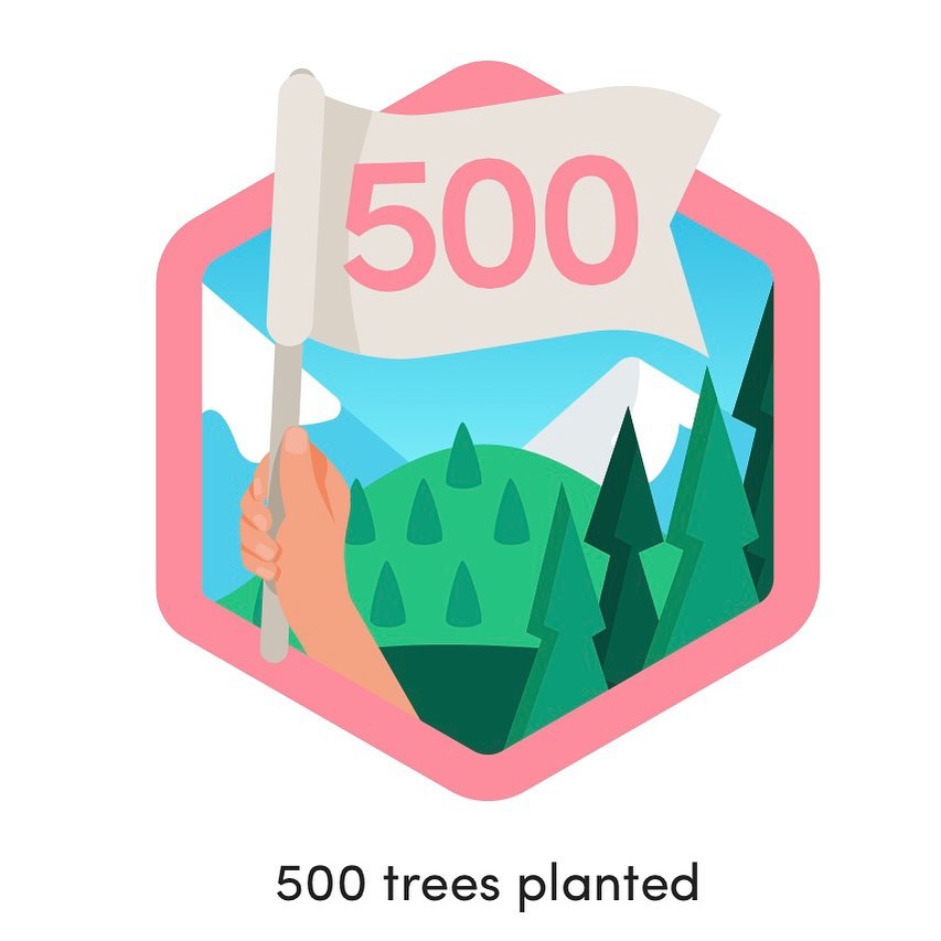 myneedsaresimp1's tweet photo. We’ve now planted 500 trees with @ecologi_hq 🌳🌳🌳

#treeplanting #eco #ecologi #carboncapture #climatechange #climateaction #sustainability #carbonoffset #myneedsaresimple #printindemand #sustainablefashion #organicshirts #ecofriendly https://t.co/ptjDTBRitR