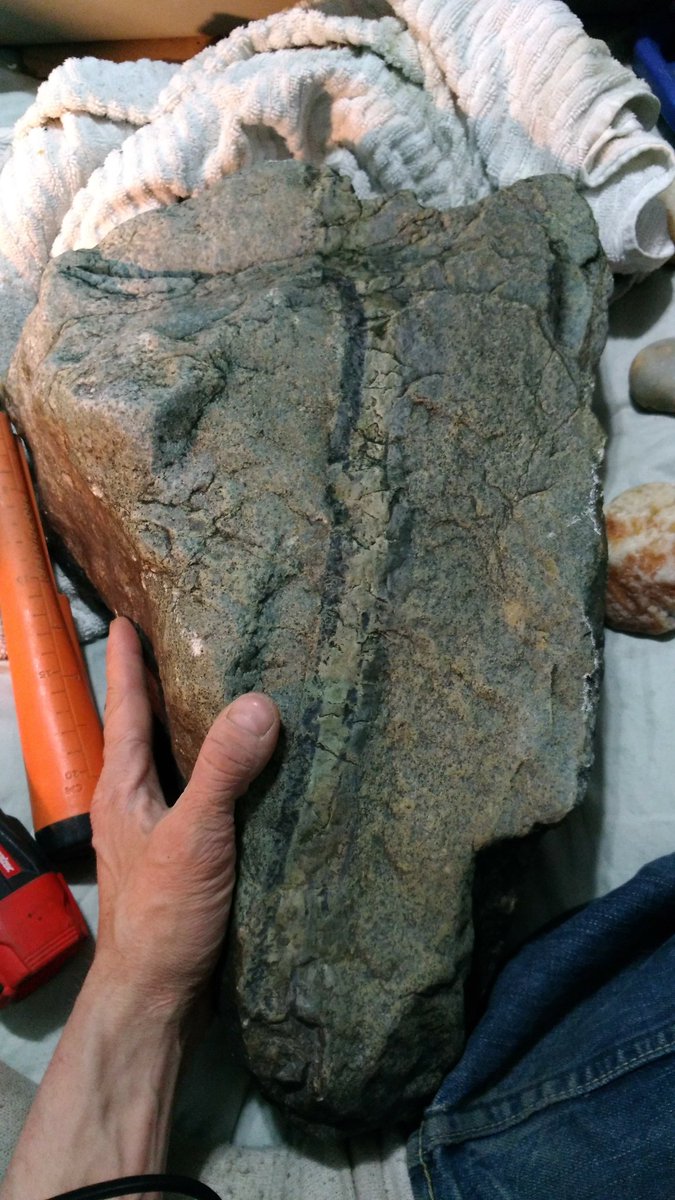 jimmy71171's tweet photo. Suspected martian meteorite, nobody will touch this in Facebook! In fact they rip it down and block me without saying a word 😔 #Mars #meteorites #magneticanomaly #shattercone #shergottite #chassignite #SNCmeteorites #shockvein #meltpockets https://t.co/ZGxd1lmFEB https://t.co/WZCV0JH1Rx