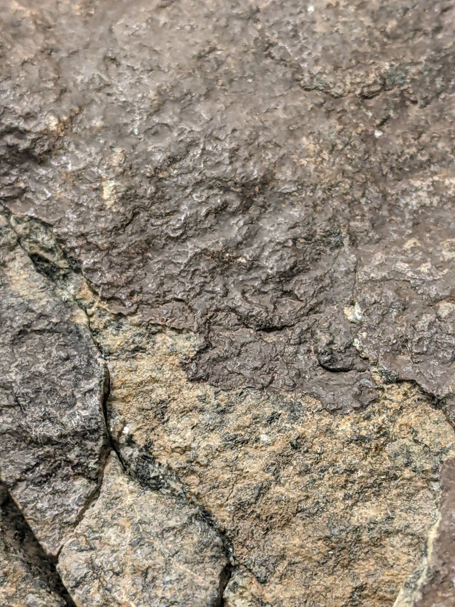 jimmy71171's tweet photo. Suspected martian meteorite, nobody will touch this in Facebook! In fact they rip it down and block me without saying a word 😔 #Mars #meteorites #magneticanomaly #shattercone #shergottite #chassignite #SNCmeteorites #shockvein #meltpockets https://t.co/ZGxd1lmFEB https://t.co/WZCV0JH1Rx