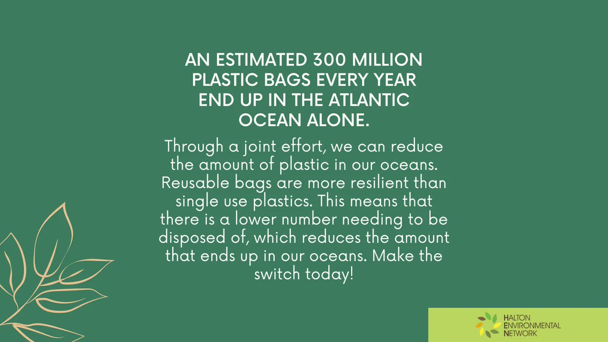 300 million plastic bags end up in the Atlantic Ocean every year. Reusable bags are more resilient than single use bags. This means there is a lower number needing to be disposed of, which reduces the amount in our oceans 🌊. Read more here: bit.ly/3DqxlN5.