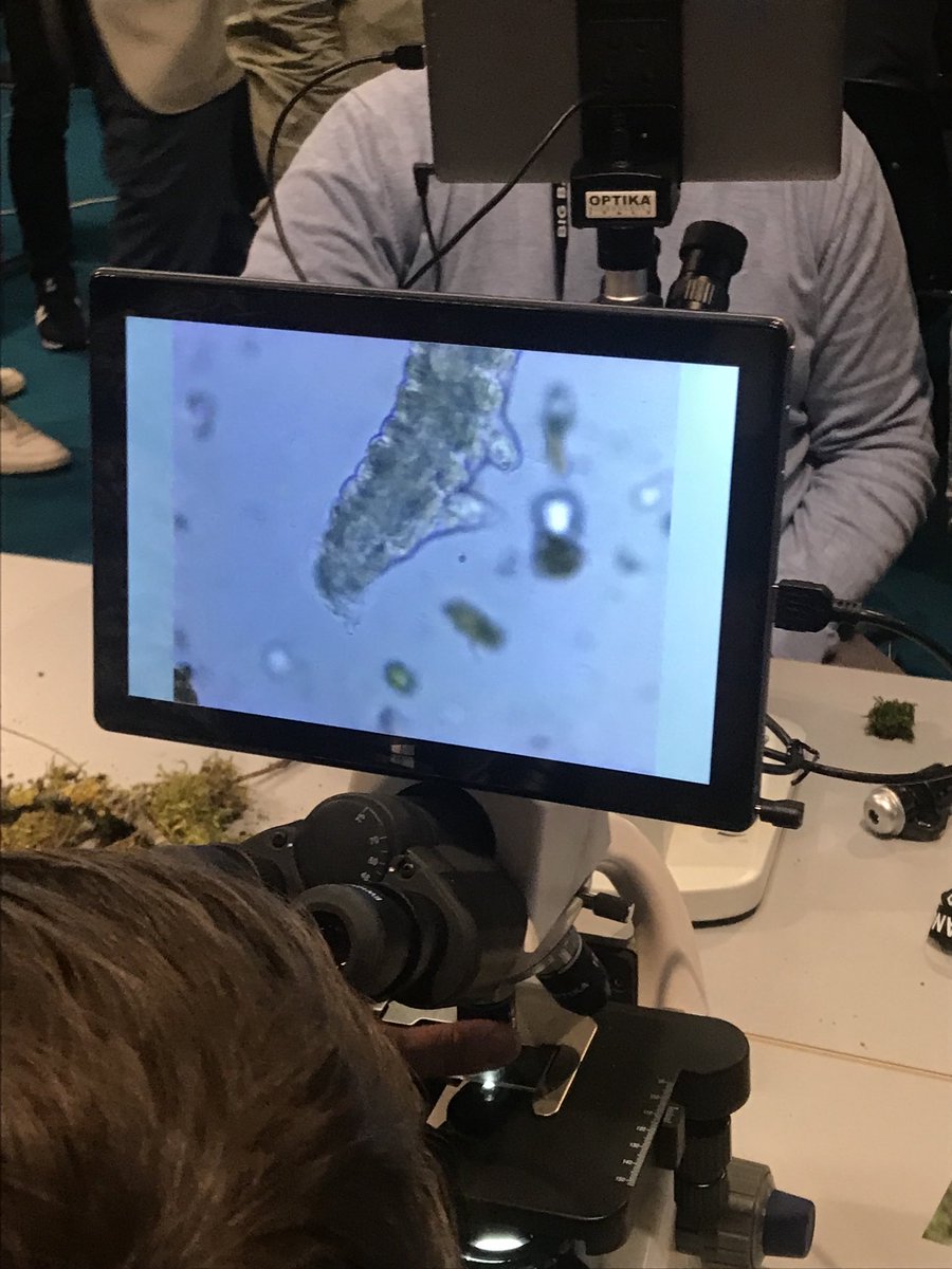 SalomonsenDorte's tweet photo. Vi glæder os allerede til næste Masseeksperiment om mikroliv: mos, lav og bjørnedyr. Big Bang deltagerne indledte bjørnejagten allerede i dag #bbdk22 ⁦@astra_science⁩ #stem https://t.co/55PDQ8Bt3t