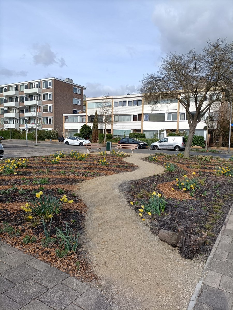 Lente in Transwijk! Dit mooie stukje groen wordt sinds een half jaar beheerd door 2 actieve bewoonsters. De eerste bollen staan al mooi in bloei! 🌷 
Zie jij ook een stukje grond in de openbare ruimte waar je mee aan de slag wil? Mail ons op zuidwest@utrecht.nl. #initiatief