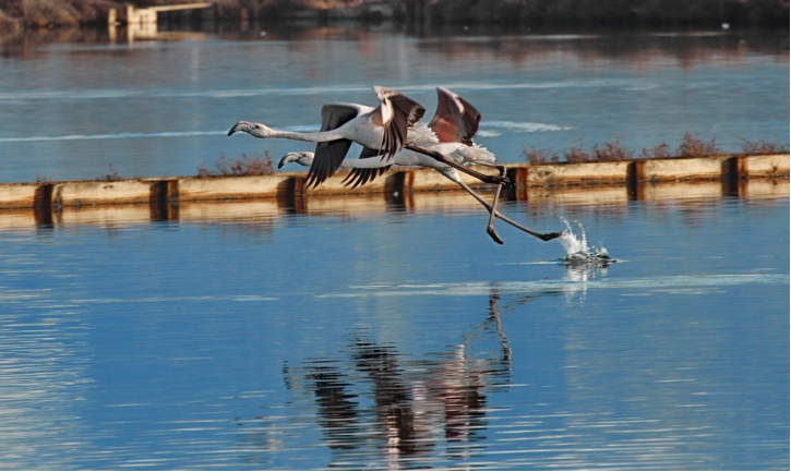 Inherit Interreg Mediterranean tweet media